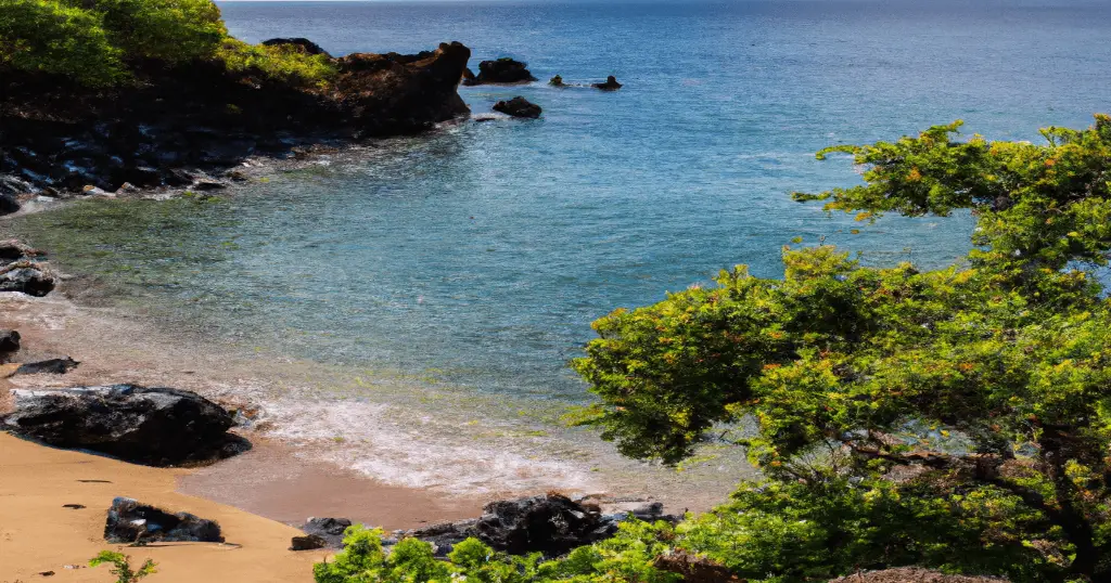 Vibrant photo of Little Beach on Maui with lush green trees