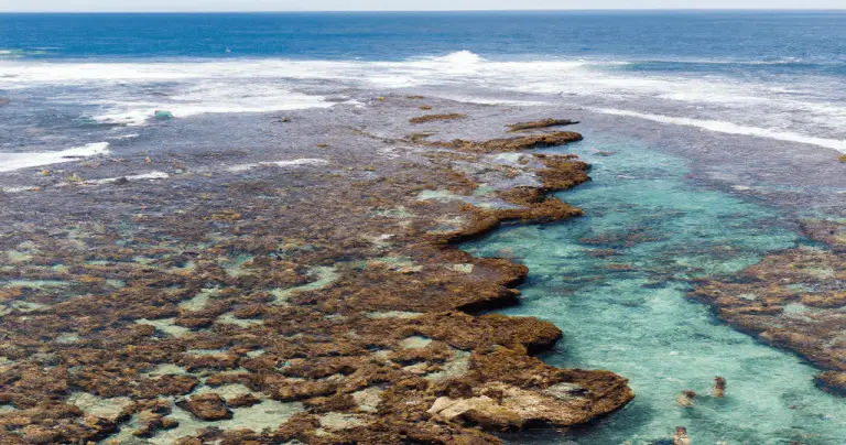 6 Must See Tide Pools On Oahu ThrillingSpots Com   Tide Pools At Sharks Cove On Oahu 1 768x404 