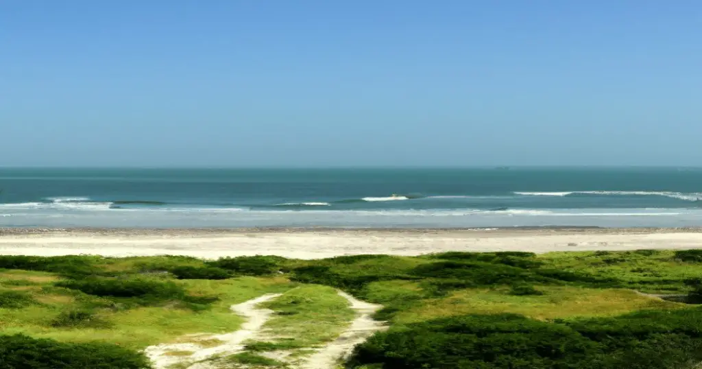 The dunes and white sands of whitecaps beach in Corpus Christi