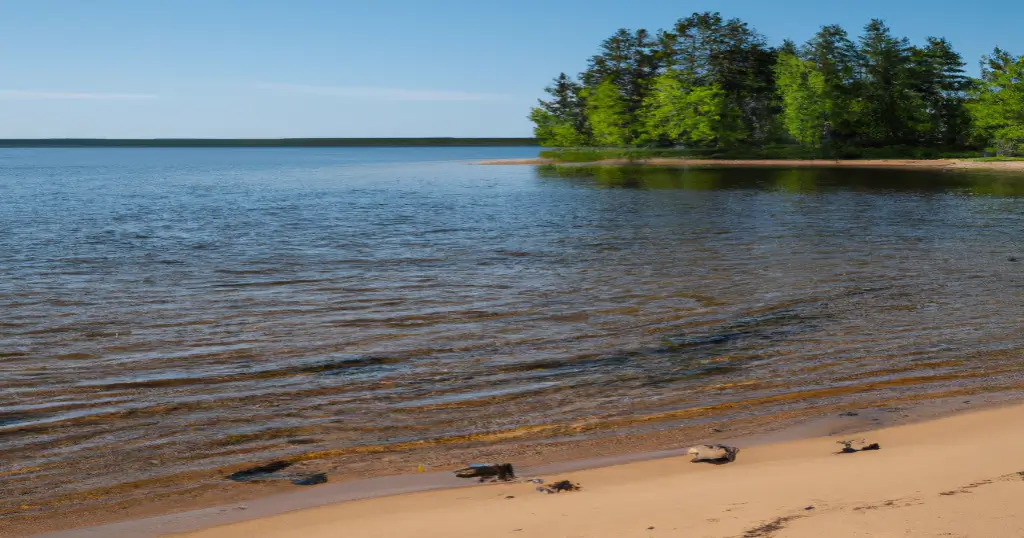 A sandy beach by a lake with clear water and various species of trees in the background.