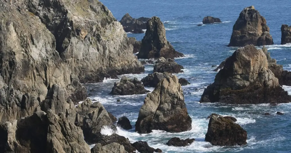 The coastline at Bodega Head doted with craggy rocks surrounded by blue ocean water